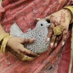 Bird crystal clutch bag Peace dove diamond evening bag European and American full diamond colorful bird clutch bag